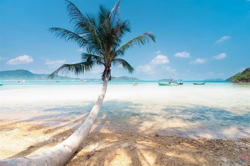 Đảo Nam Du – Kiên Giang tại Đà Lạt
