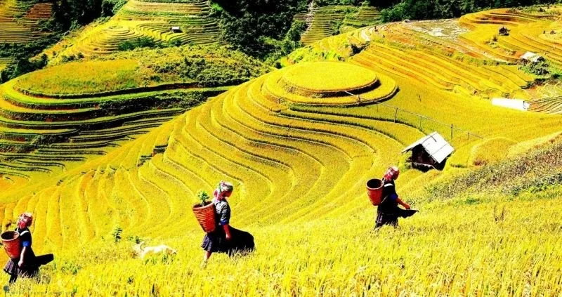Sa Pa – Lào Cai tại Đà Lạt