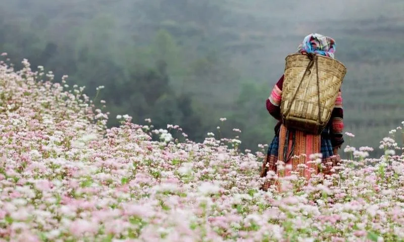 Hà Giang tại Đà Lạt