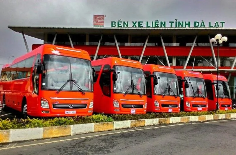 Top 4 Nhà xe uy tín nhất chạy tuyến Đà Nẵng – Đà Lạt – Review & Đặt Chỗ 2026