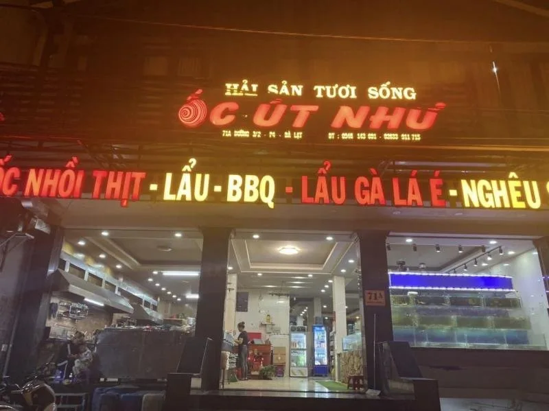 Top 5 Địa chỉ bán tôm hùm Alaska uy tín, chất lượng nhất TP. Đà Lạt, Lâm Đồng – Review & Đặt Chỗ 2026