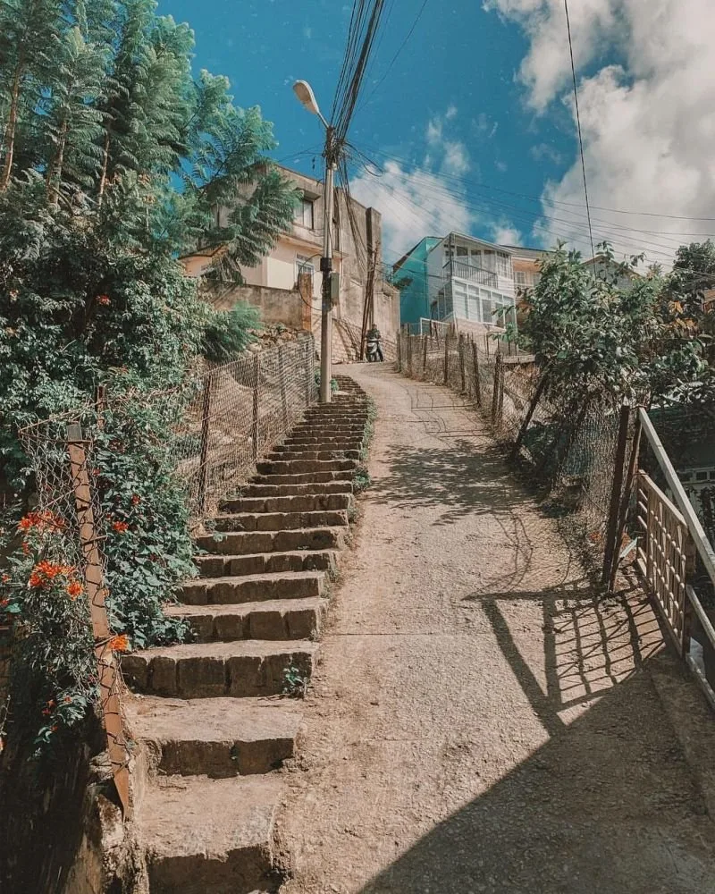 Dốc Nhà Bò tại Đà Lạt