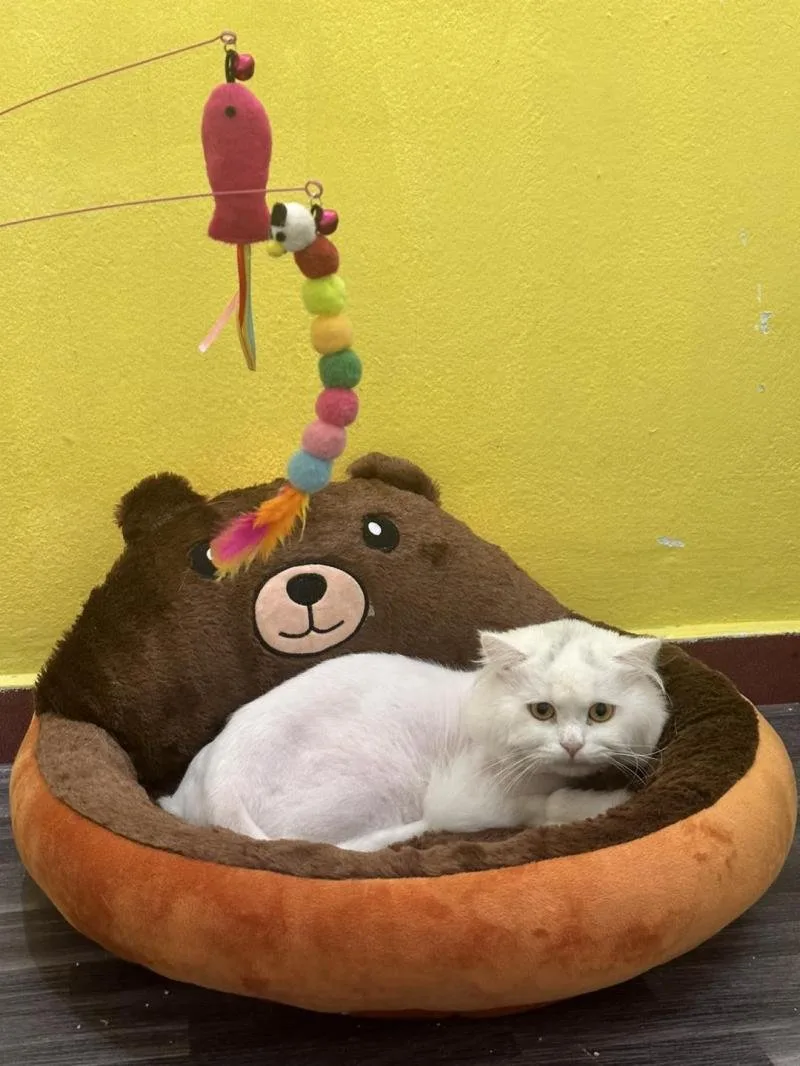 Omo Pets Spa tại Đà Lạt