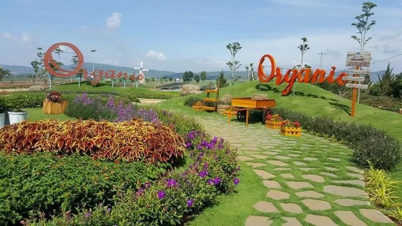 Vinamilk Organic Milk Farm tại Đà Lạt