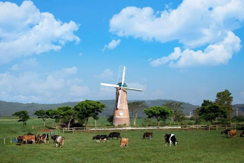 Vinamilk Organic Milk Farm tại Đà Lạt