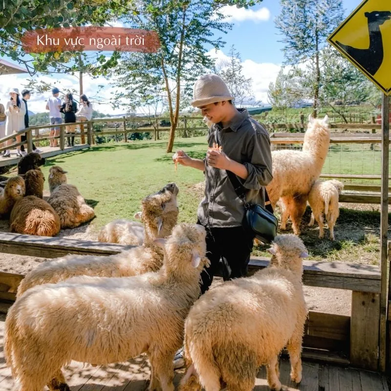 Chika Farm tại Đà Lạt