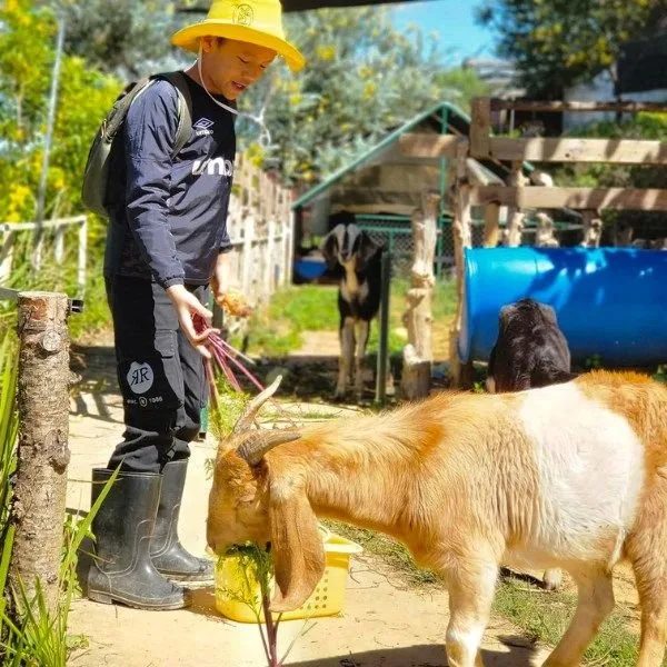 Bunny Hill Farm & Homestay tại Đà Lạt