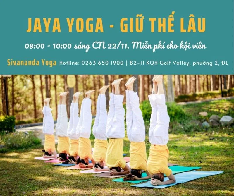 Sivananda Yoga Đà Lạt tại Đà Lạt