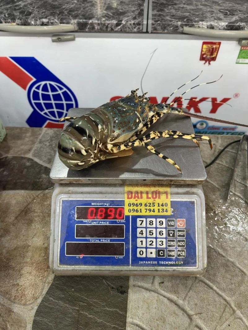 Hải sản Thành Văn tại Đà Lạt