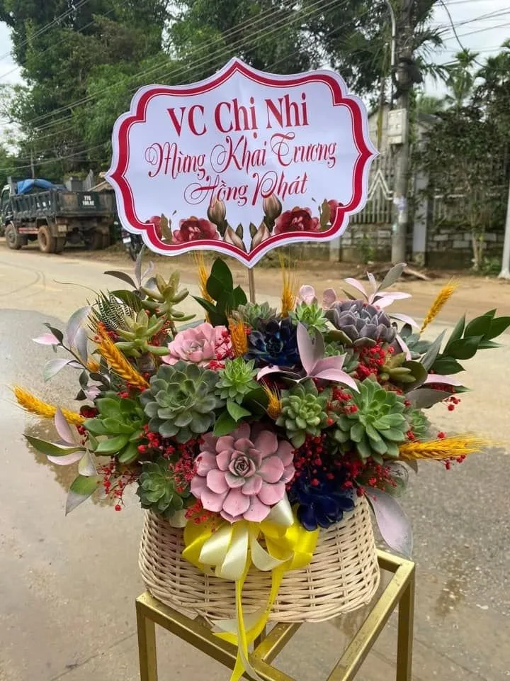 Top 5 Shop bán giỏ hoa sen đá đẹp nhất tại Đà Lạt – Review & Đặt Chỗ 2026