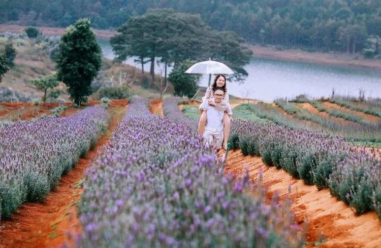 Khu Du Lịch Lavender Đà Lạt tại Đà Lạt