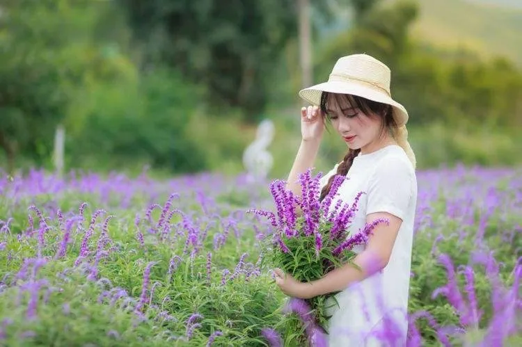 Cánh đồng hoa Lavender thung lũng tình yêu tại Đà Lạt