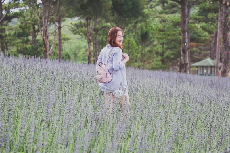 Cánh đồng hoa Lavender thung lũng tình yêu tại Đà Lạt