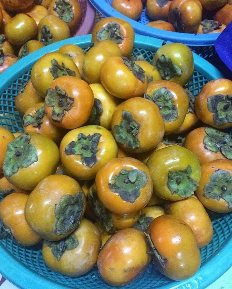 Top 6 Đặc sản mùa thu Đà Lạt thích hợp để mua làm quà – Review & Đặt Chỗ 2026