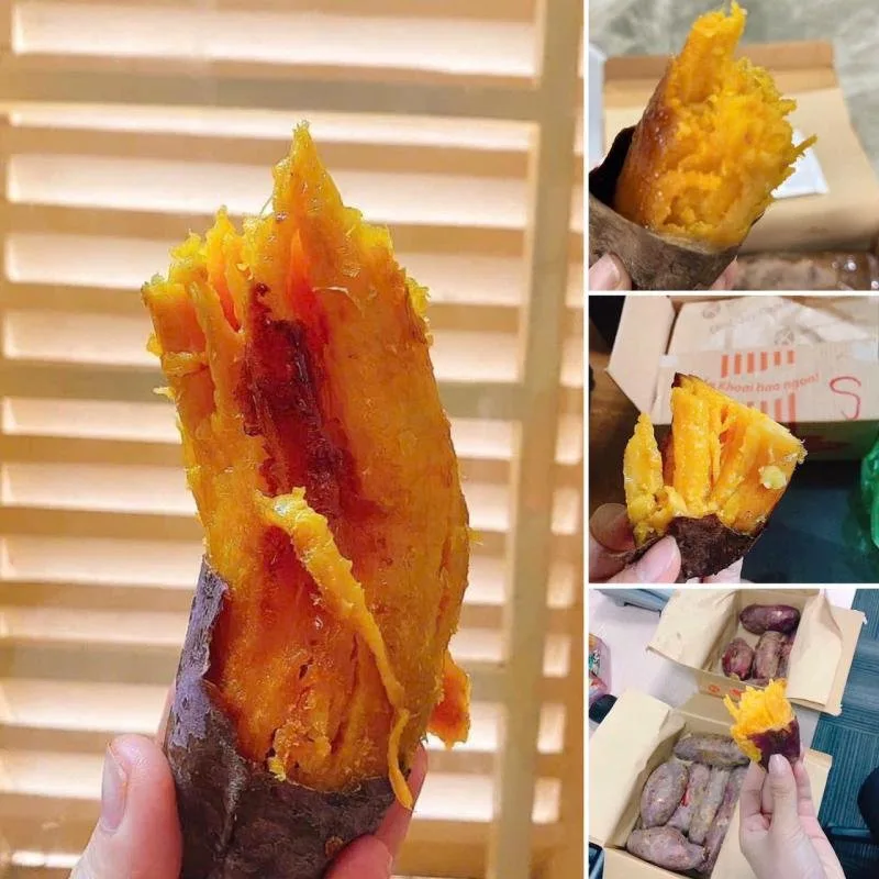 Top 6 Địa chỉ bán khoai lang mật nướng ngon nhất Hà Nội Đà Lạt – Review & Đặt Chỗ 2026