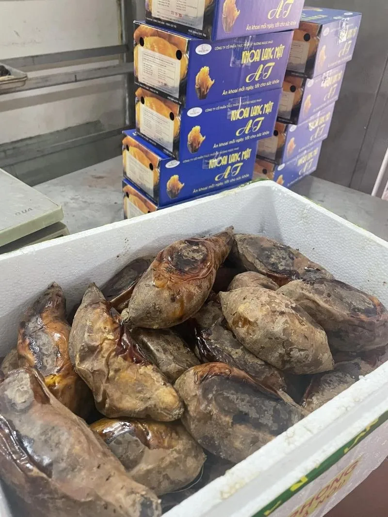 Top 6 Địa chỉ bán khoai lang mật nướng ngon nhất Hà Nội Đà Lạt – Review & Đặt Chỗ 2026