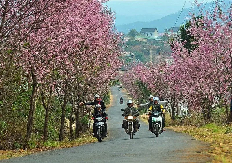 Top 6 Kinh nghiệm du lịch tự túc Đà Lạt 2022 – Review & Đặt Chỗ 2026