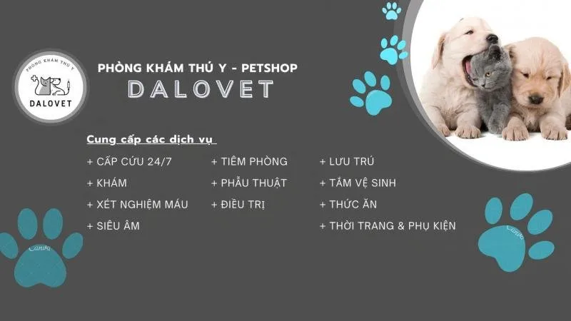 Phòng Khám Thú Y Dalovet tại Đà Lạt