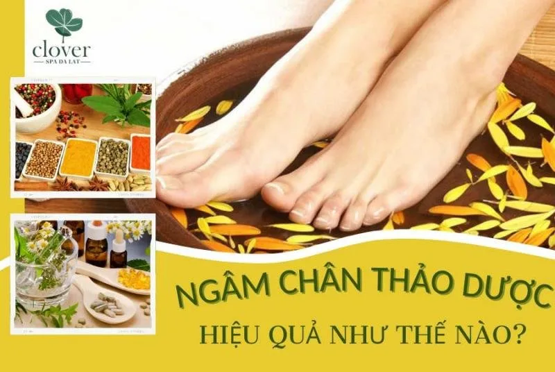Clover Spa tại Đà Lạt
