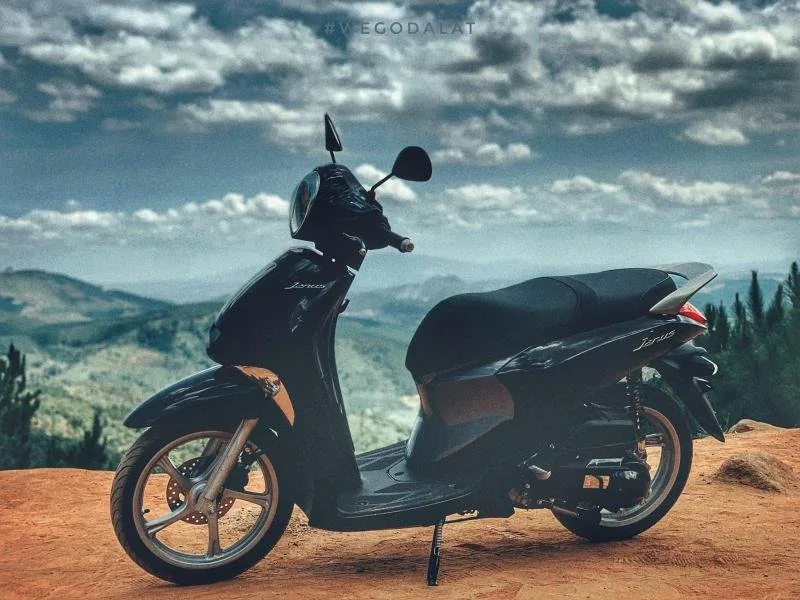 WEGO - Dịch vụ cho thuê xe tại Đà Lạt tại Đà Lạt