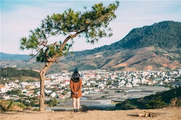 Đồi Thiên Phúc Đức tại Đà Lạt