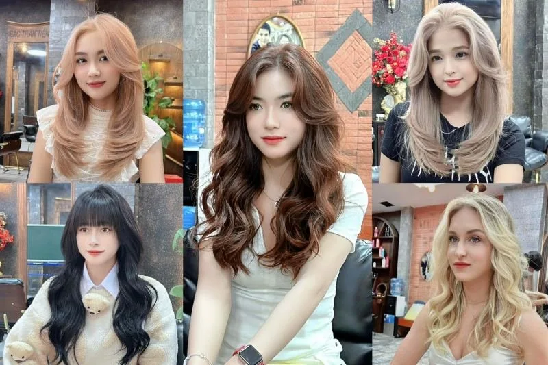 Salon Bắc Trần Tiến – Địa chỉ tạo kiểu tóc đẹp và chuyên nghiệp tại Đà Lạt tại Đà Lạt