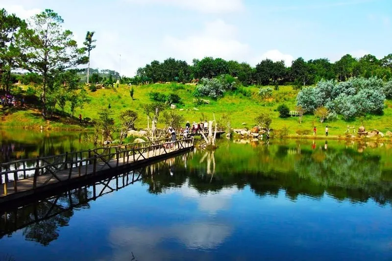 Top 8 Tour du lịch Đà Lạt thú vị và độc đáo nhất – Review & Đặt Chỗ 2026