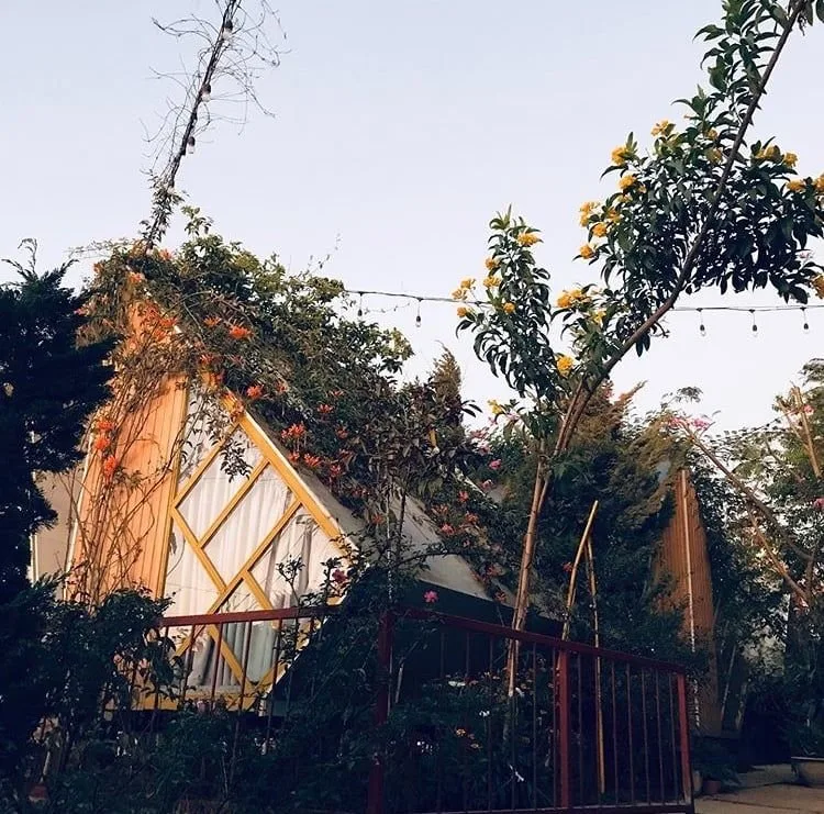 Top 9 Homestay độc đáo nhất ở Đà Lạt – Review & Đặt Chỗ 2026
