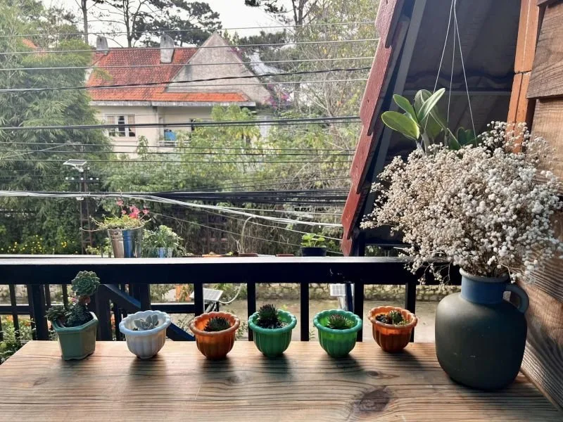 Hostel Hạ Vy tại Đà Lạt