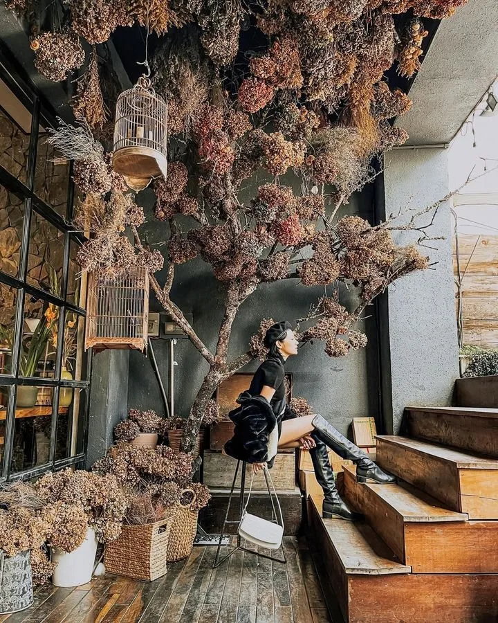 Woodstock tại Đà Lạt
